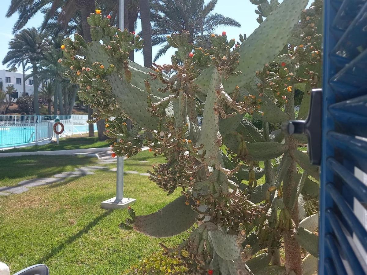 Los Barqueros 9 By Best Holidays Fuerteventura Corralejo Zewnętrze zdjęcie